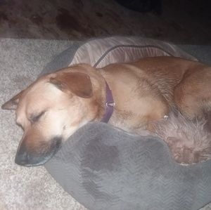 Meet your Posher, Star